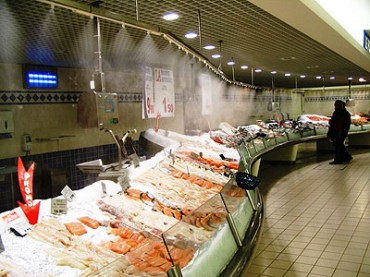 Система орошения (увлажнения) охлажденной рыбы